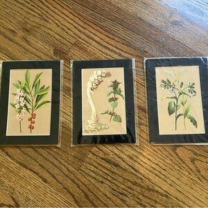 Botanical Art Prints Set of 3